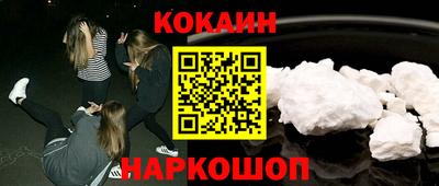 шишки Изобильный