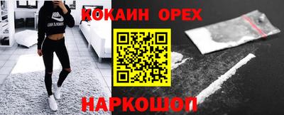 шишки Изобильный