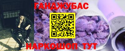 шишки Изобильный
