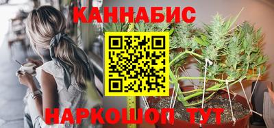 шишки Изобильный