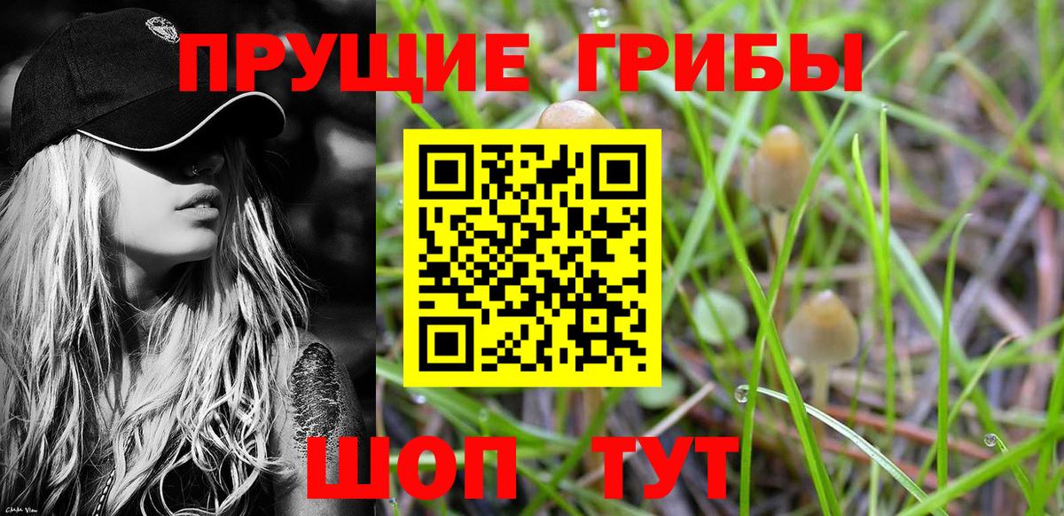 Псилоцибиновые грибы ЛСД  Вход с VPN  Краснодар 