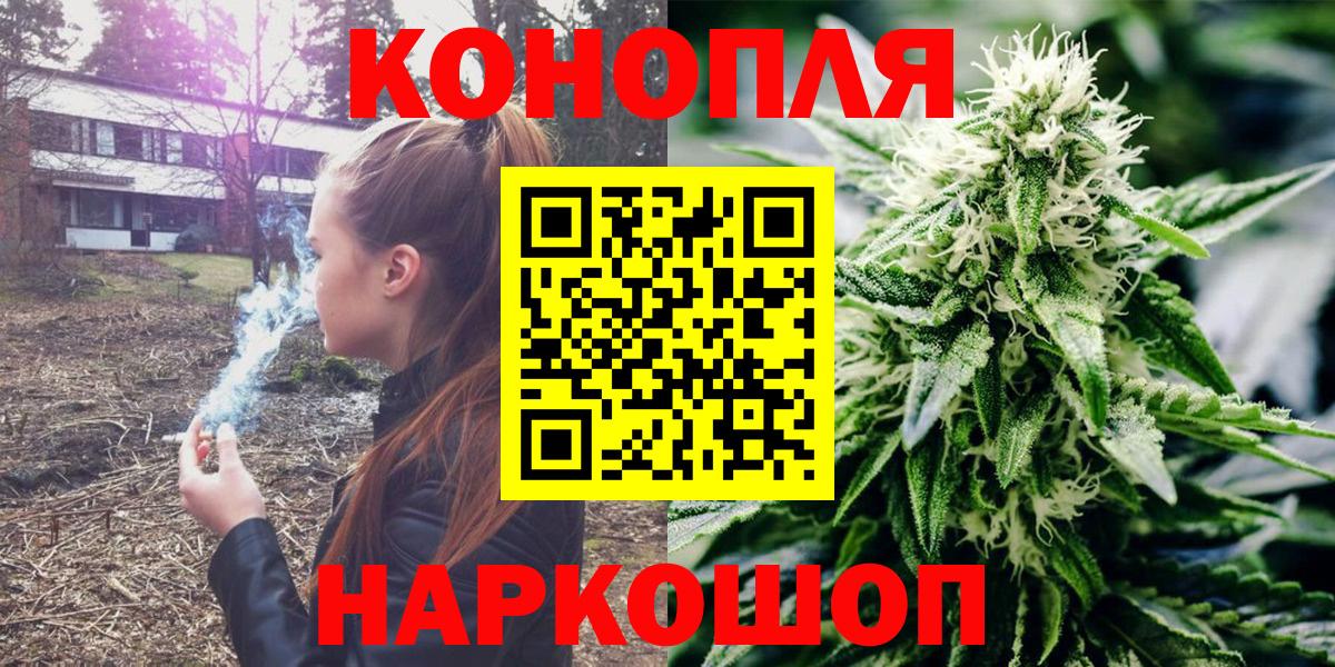 Бошки марихуана сатива Краснодар